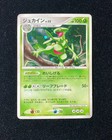 Sceptile EX