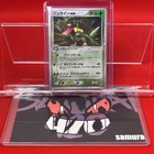 Sceptile EX