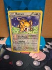 Raticate