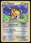 Raticate