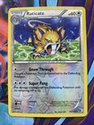 Raticate