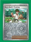 Black Belt's Training