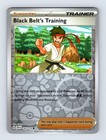 Black Belt's Training