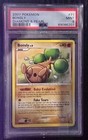 Bonsly