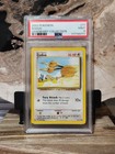Doduo