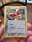 Ledyba