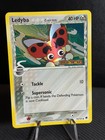 Ledyba