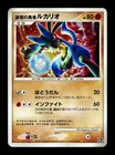 Wave-Guiding Hero Lucario