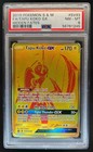 Tapu Koko