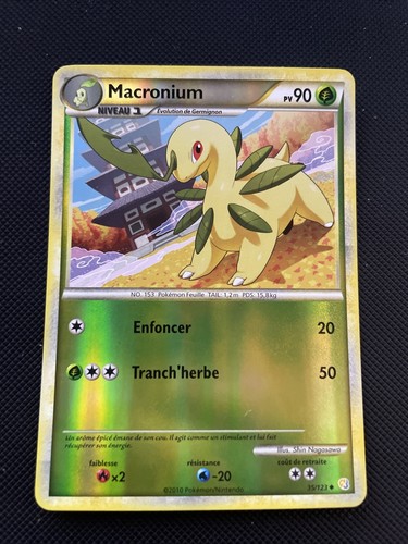 Bayleef