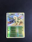 Bayleef