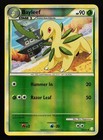 Bayleef