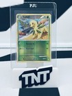 Bayleef