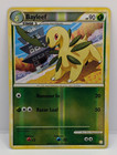 Bayleef