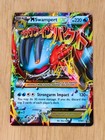 Mega Swampert EX