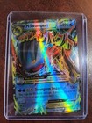 Mega Swampert EX
