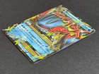 Mega Swampert EX