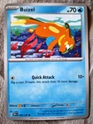 Buizel
