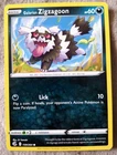 Galarian Zigzagoon