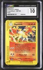 Rapidash