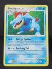 Feraligatr