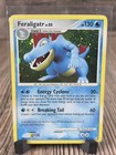 Feraligatr