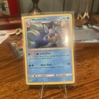Wartortle