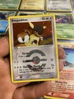 Kangaskhan