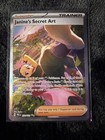 Janine's Secret Art