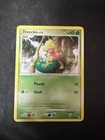 Treecko