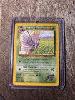 Sabrina's Venomoth