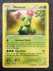 Maractus