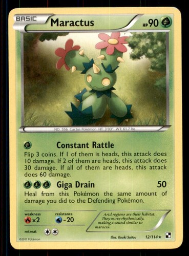Maractus