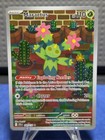 Maractus