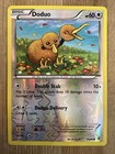 Doduo