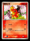 Torchic 