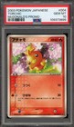 Torchic 