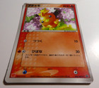 Torchic 