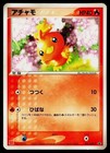 Torchic 