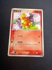 Torchic 