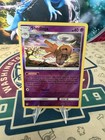 Shedinja