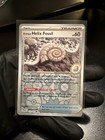 Antique Helix Fossil