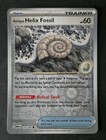 Antique Helix Fossil