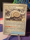 Antique Helix Fossil