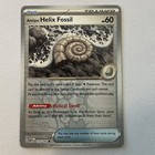 Antique Helix Fossil