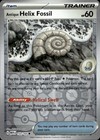 Antique Helix Fossil