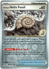 Antique Helix Fossil