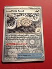 Antique Helix Fossil