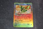 Flygon