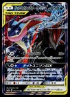 Greninja & Zoroark GX